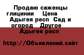 Продаю саженцы глицинии. › Цена ­ 300 - Адыгея респ. Сад и огород » Другое   . Адыгея респ.